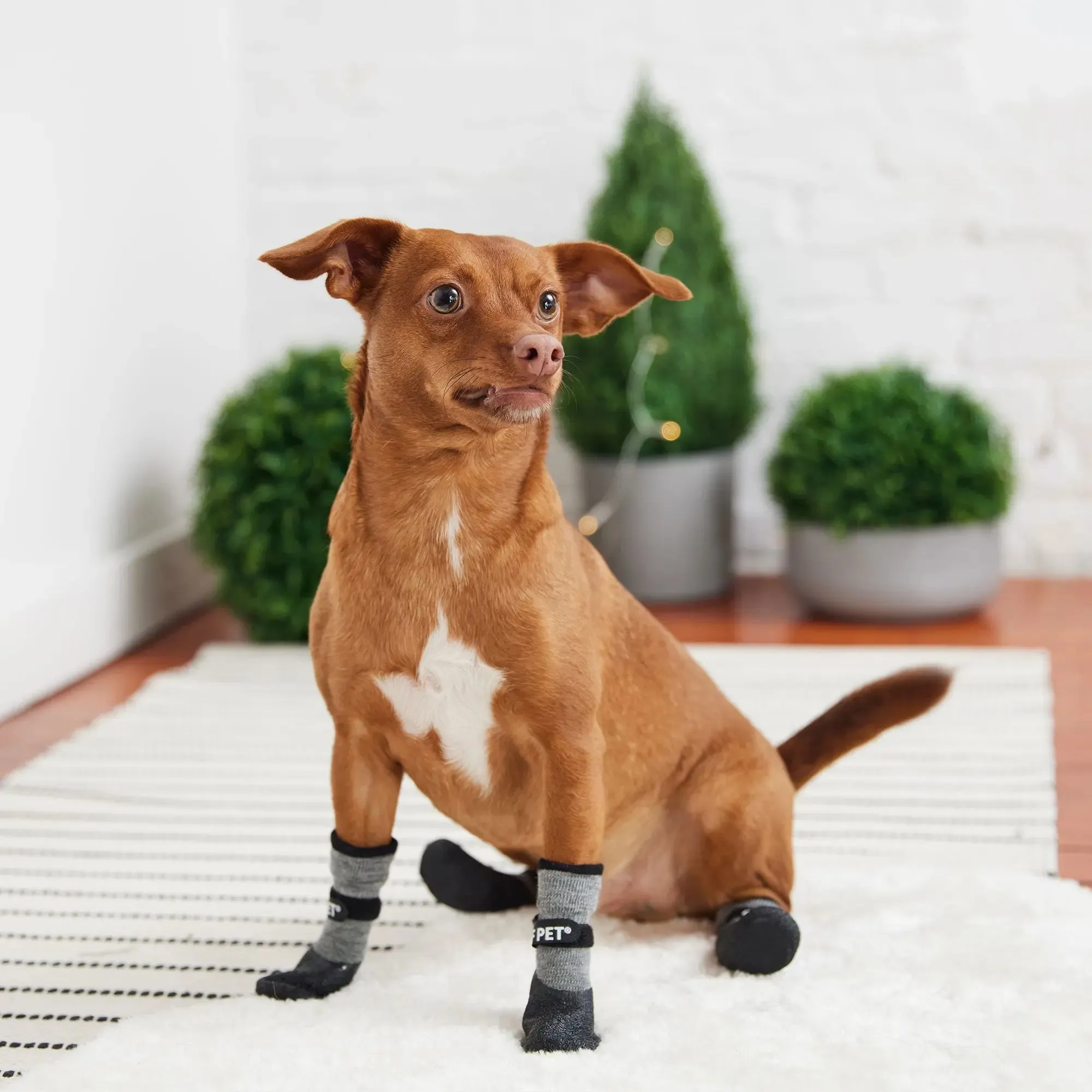 All Terrain Dog Boots | Charcoal Grey