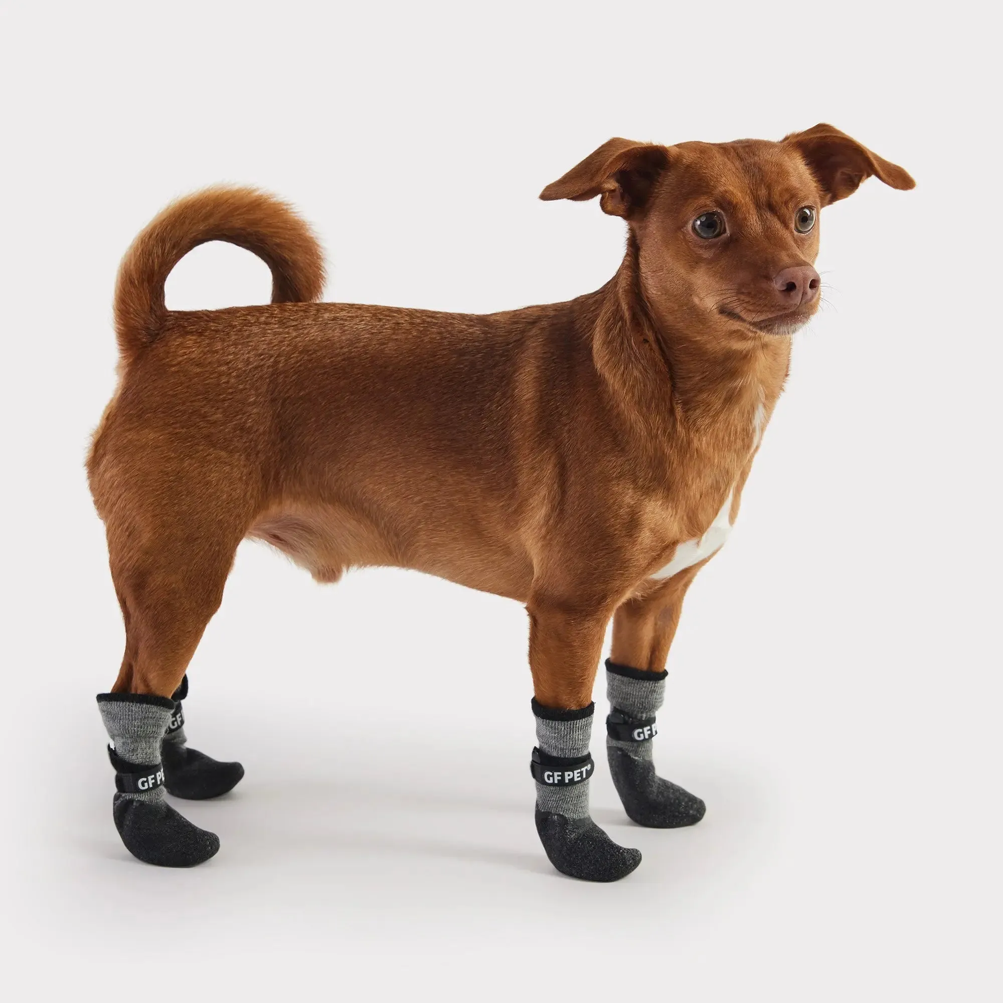 All Terrain Dog Boots | Charcoal Grey