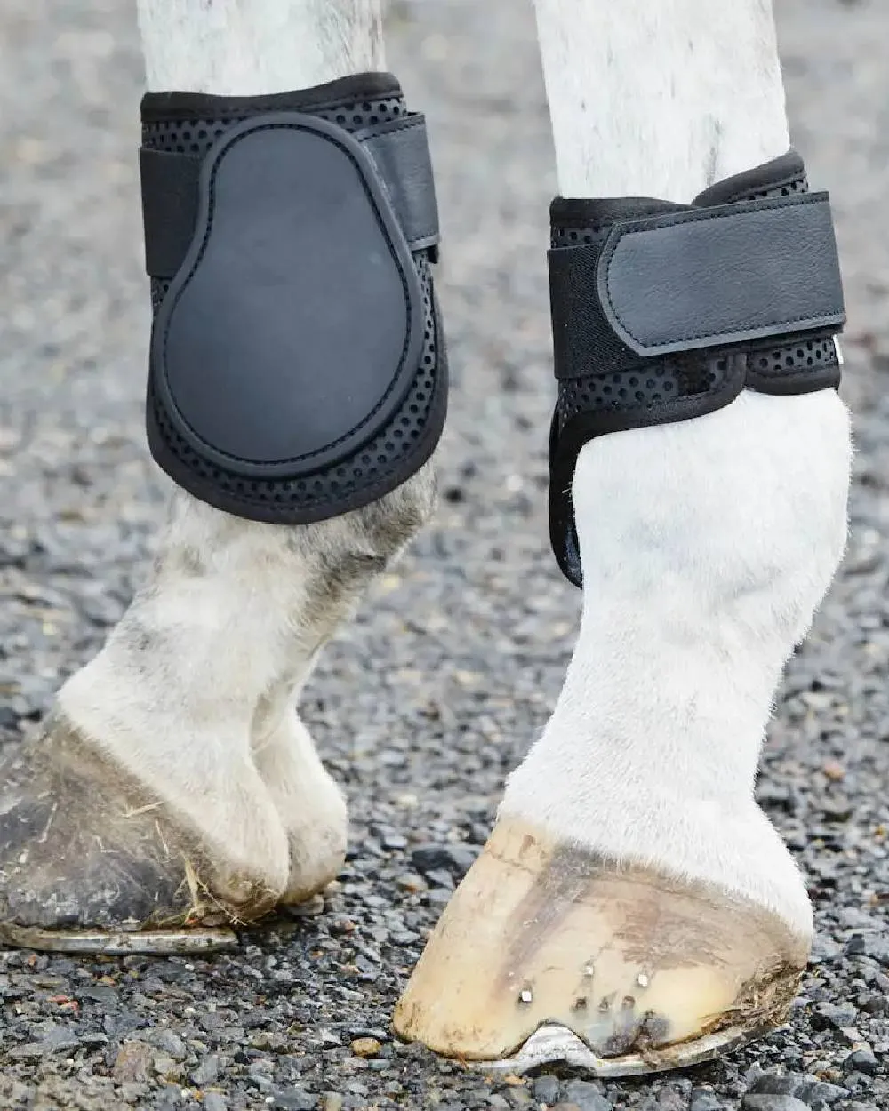 Weatherbeeta Lite Fetlock Boots